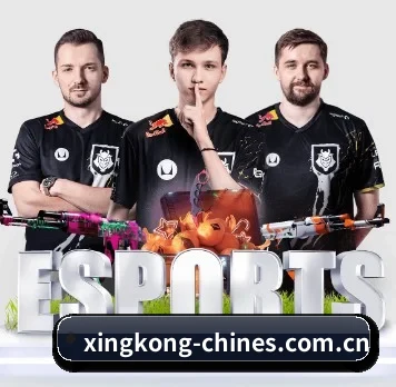 持续创新